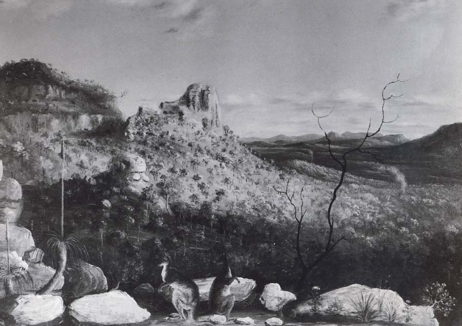 Landscape with kangaroos in foreground